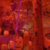 img_0555